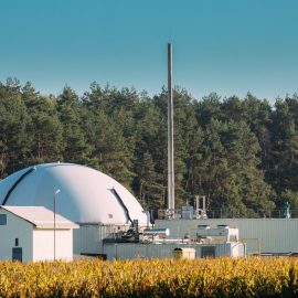 Biogas Plant Or Bioreactor For Fermentation Of Chicken Manure.
